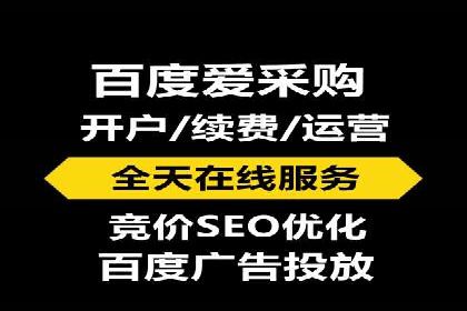 行业领先企业的SEM代理案例剖析